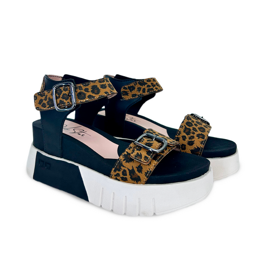 BRUNELA A.P NEGRO CAMELL-