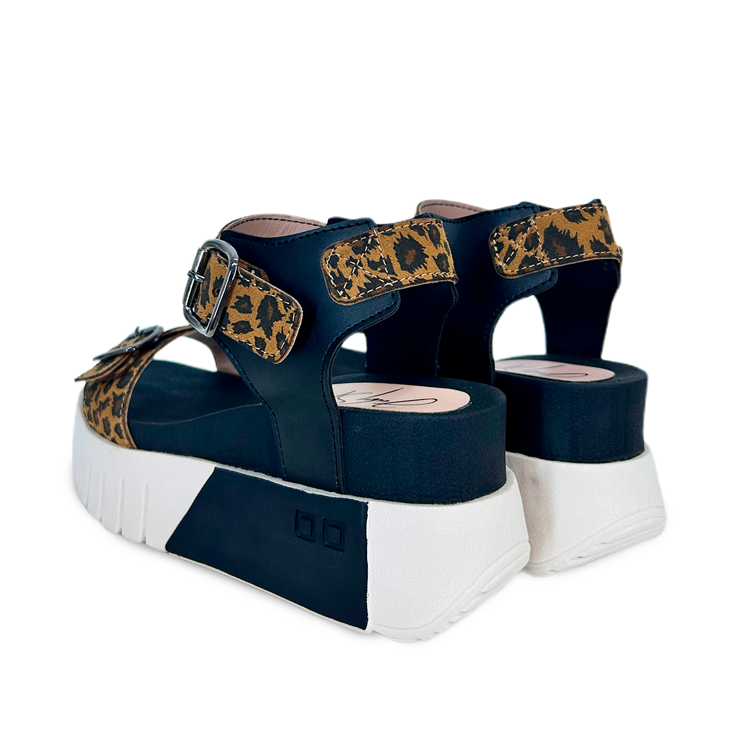 BRUNELA A.P NEGRO CAMELL-